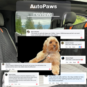Hard Bottom Seat Cover